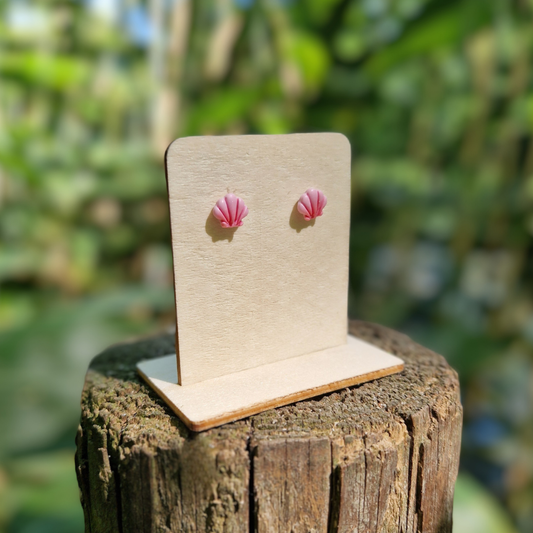 Summer Scallop Shell Hypoallergenic Studs