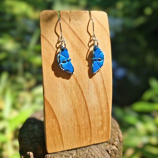 Hand Painted Blue Morpho Butterfly Hook Earrings