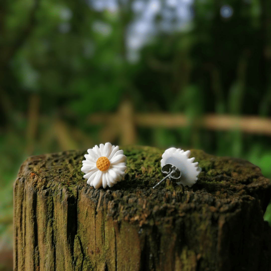 Back of our Intricate Daisy Nature Stud Earrings, Hand Crafted in Dorset.