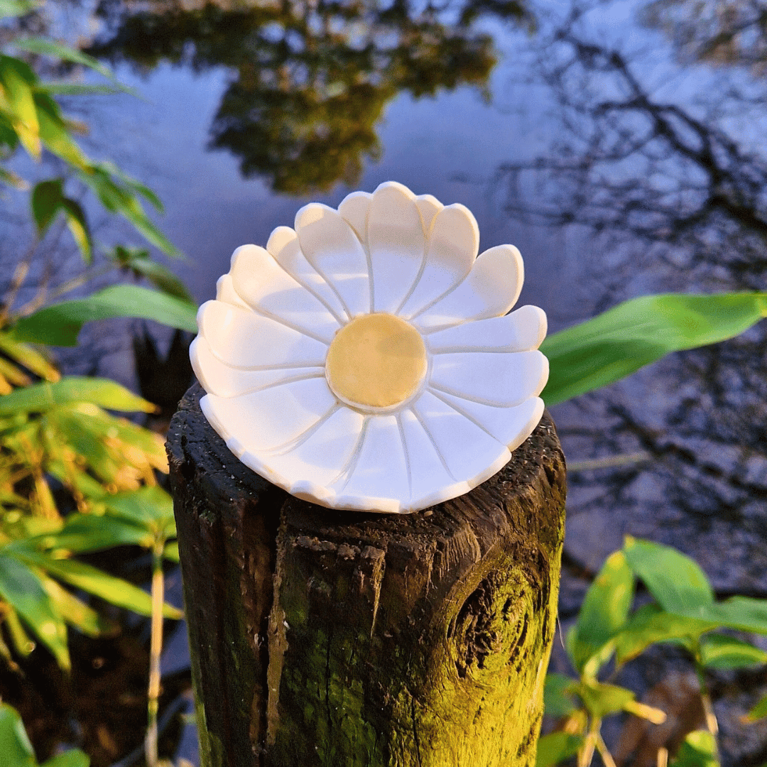 Frontal View of our Daisy Jewellery and Trinket Dish, Hand Crafted in Dorset using Polymer Clay.