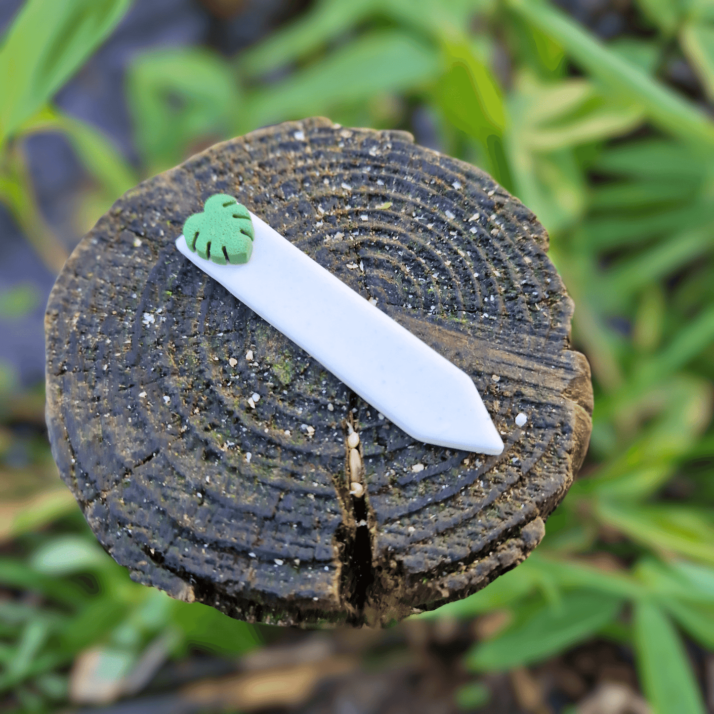 Monstera Polymer Clay Decorative Plant Tag