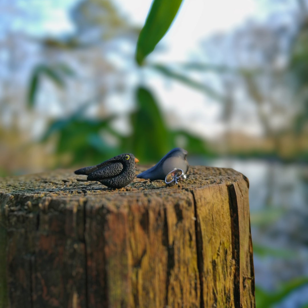 Blackbird British Bird Polymer Clay Studs Earrings